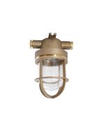 1131/D/GK/1974 STANDARD INCANDESCENT LIGHT
