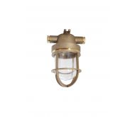 1131/D/GK/1974 STANDARD INCANDESCENT LIGHT