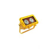DTS XEF140P 2X70W HALOGEN HAZARDOUS AREA FLOODLIGHT