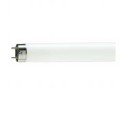 GE 14488 F40D/EX FLUORESCENT TUBE LIGHT