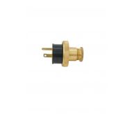 PAULUHN 2606BU-125 MARINE BRASS PLUG