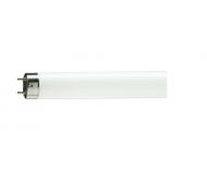 PHILIPS TL-D FLUORESCENT LAMP